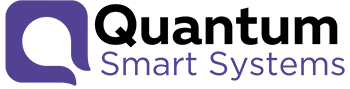 quantum smart systems